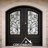 Arched Black Frame Clear Glass Double Entry Door for Modern French Entrance