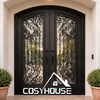 Arched Black Frame Clear Glass Double Entry Door for Modern French Entrance