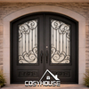 Exterior iron double door with privacy glass for house entrance and black metal frame