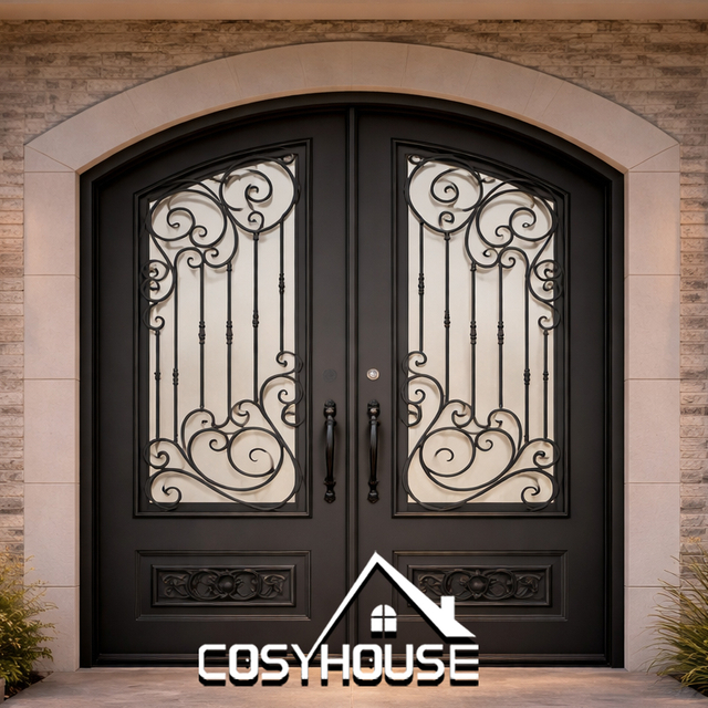 Exterior iron double door with privacy glass for house entrance and black metal frame