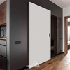 Cosyhouse Minimalist Design Ghost Door