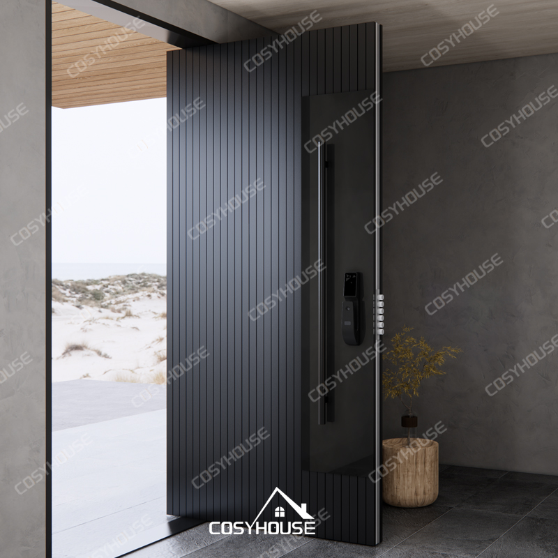 Thermal break cast aluminum pivot front door with black mirror glass panel