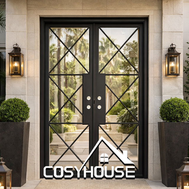Black metal clear glass double front door with geometric line design for contemporary residential entrance